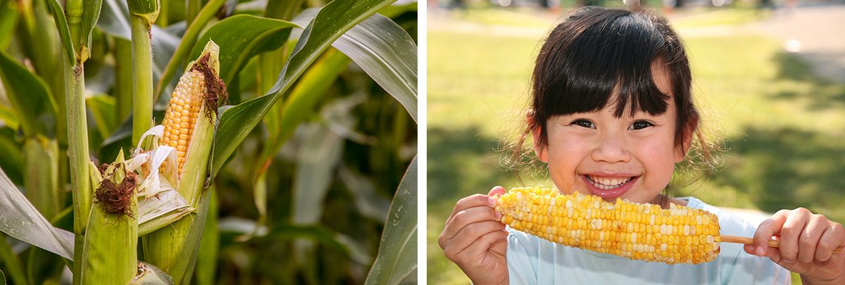 1742348317941535.jpg buu5.jpg